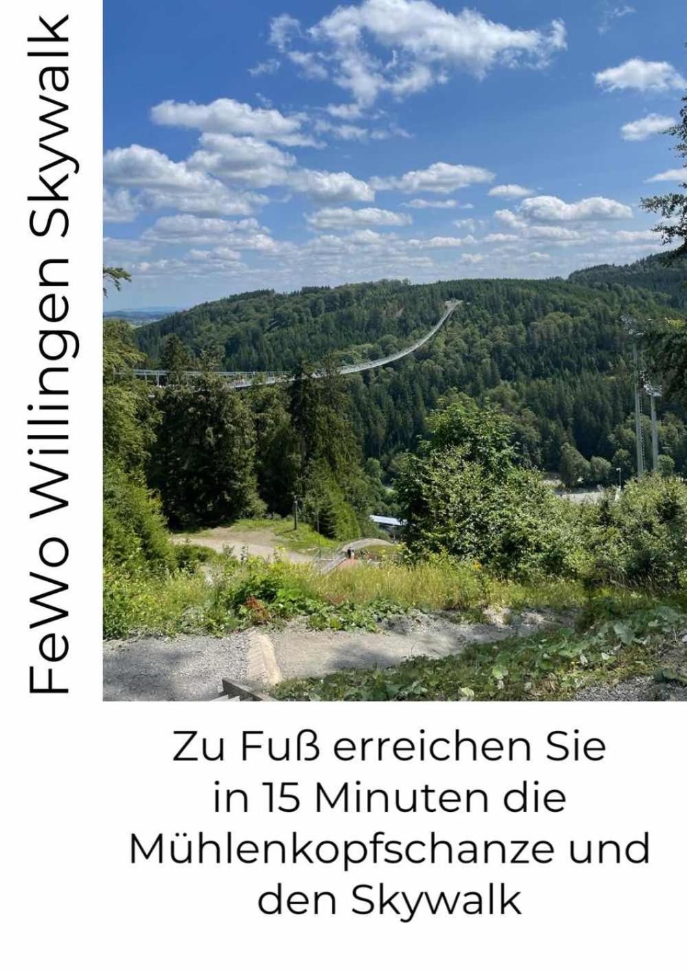 Fewo Skywalk Willingen Stryck Eksteriør bilde