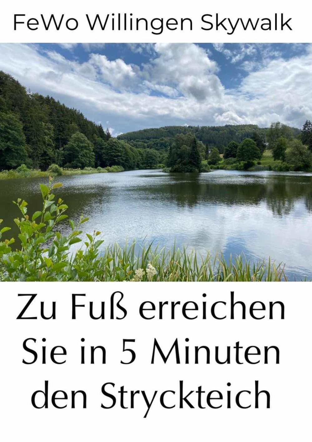 Fewo Skywalk Willingen Stryck Eksteriør bilde